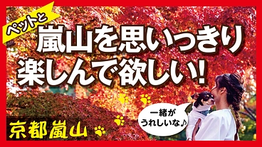 京都嵐山！ワンちゃんと泊まれるホテルからペットに優しい地域を作る！ のトップ画像