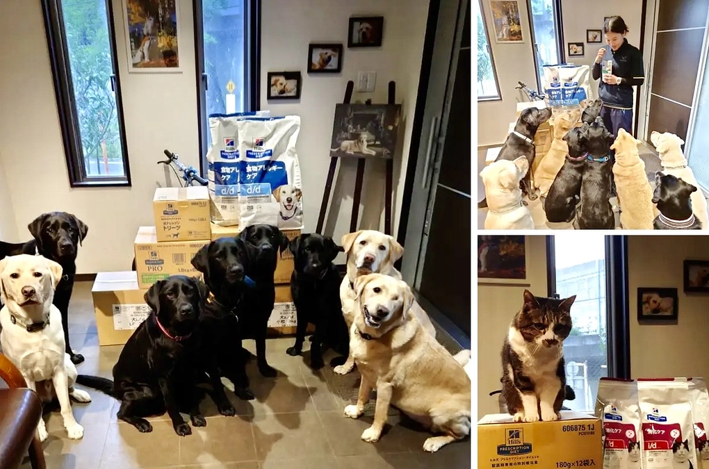 「秋の補助犬の日」