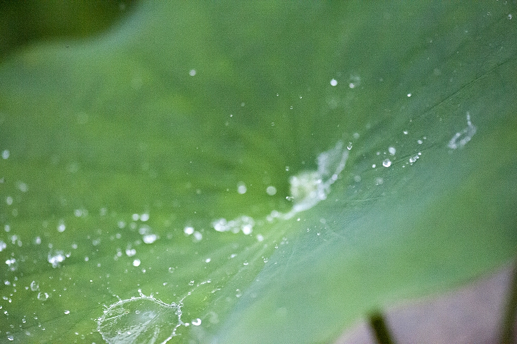 美しく残さなくてもいい　