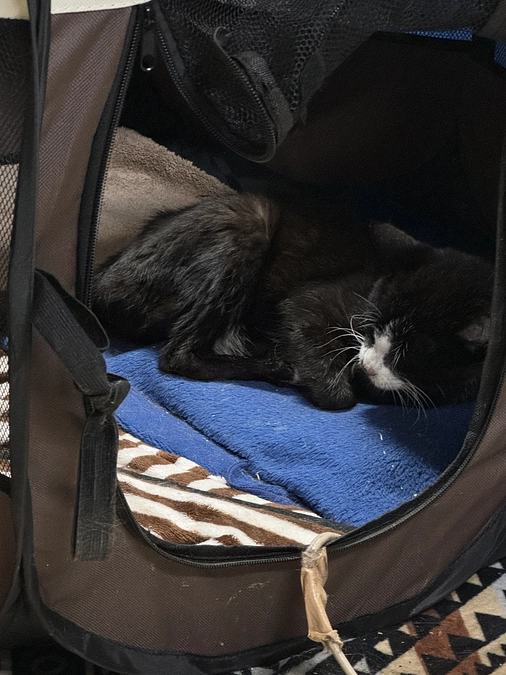 ご支援していただきありがとうございます。