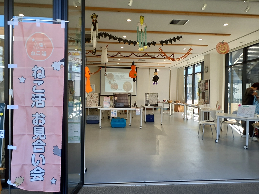 10月14日(土)星空ねこお見合い会のご報告