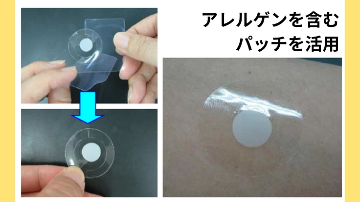 重症卵アレルギーのお子さんへ、副作用の少ない新たな治療法を届けたい 3枚目