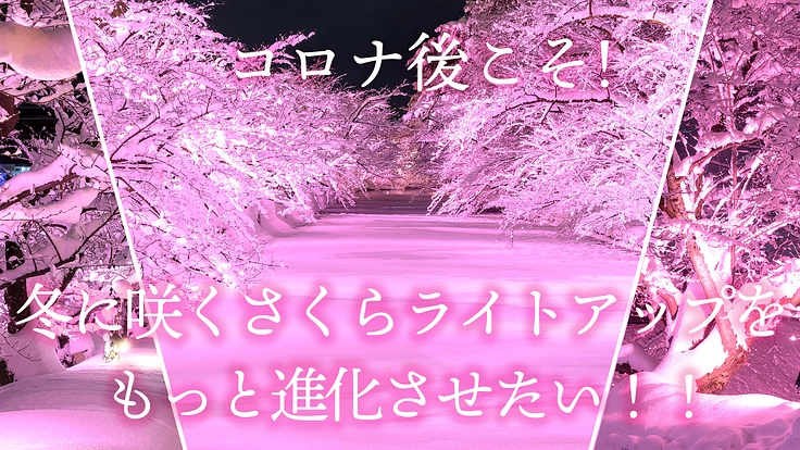 コロナ後こそ「冬に咲くさくらライトアップ」をもっと進化させたい!