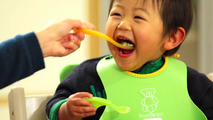 まち全体で子育て。食育を大切にした、ねっこ保育園を開設したい