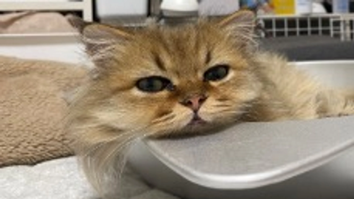 10/27で７か月を迎えました👑