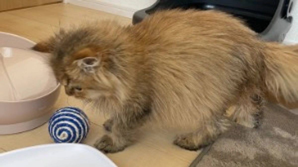 体調の心配はつきない