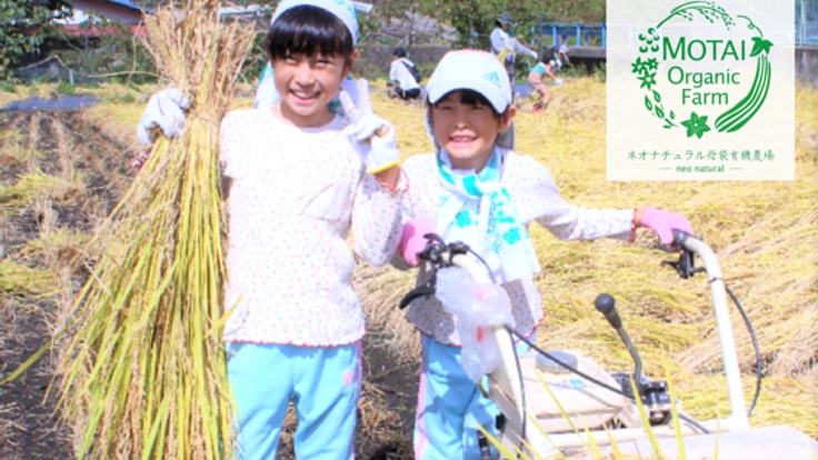 岐阜県母袋の美しい風景を守りたい！里山再生プロジェクト！