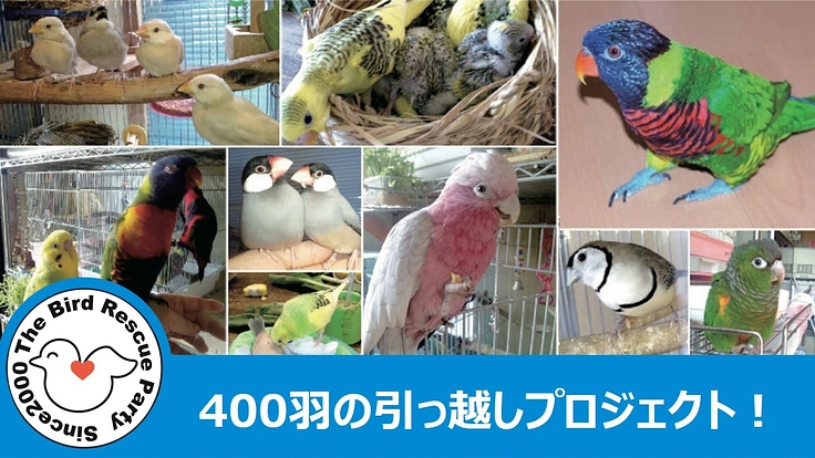 命をつなぐ最適な居場所へ｜飼い鳥の保護施設「鳥の駅」を移転したい！