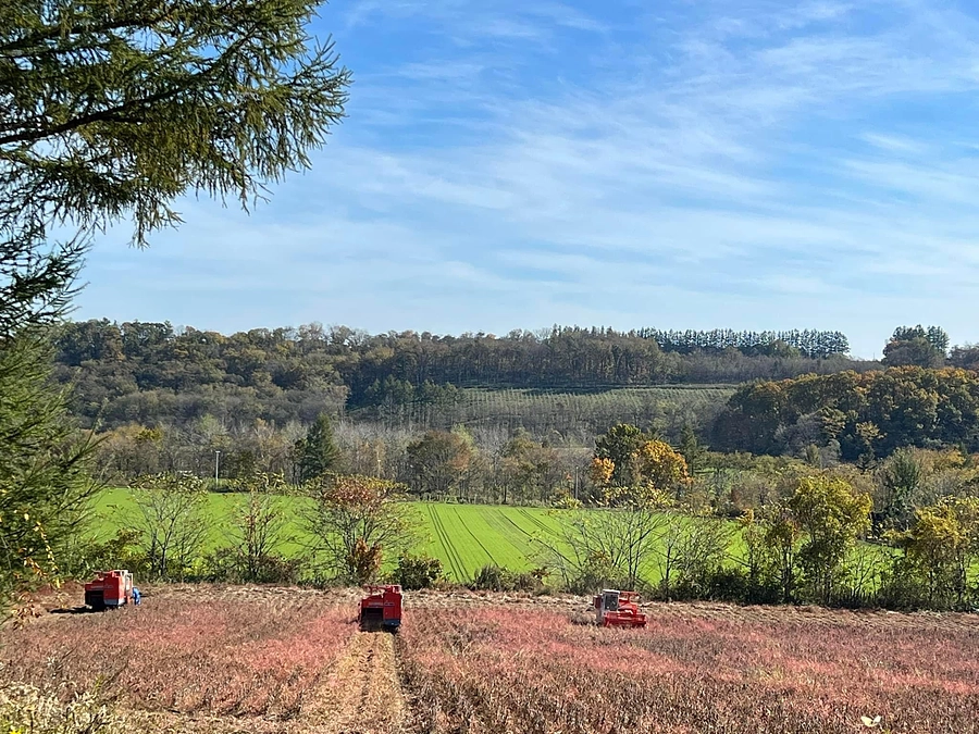 SEIZE THE DAY「THE WORLD」Report-６