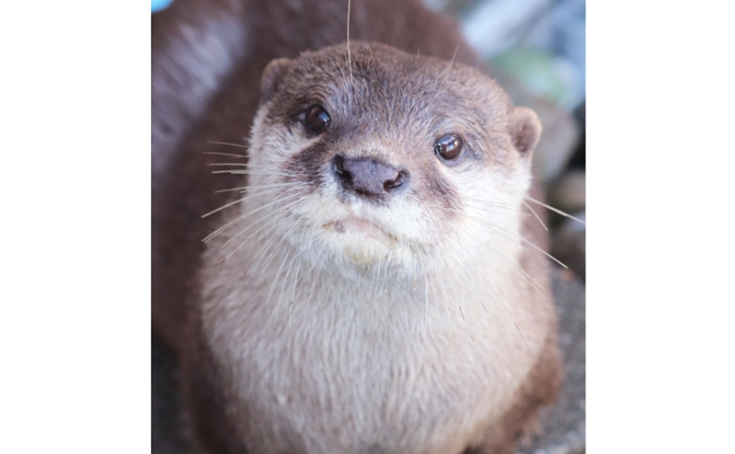 返礼品不要の方|3,000円