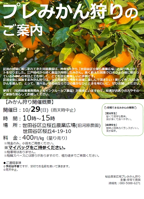 プレみかん狩りのお知らせ