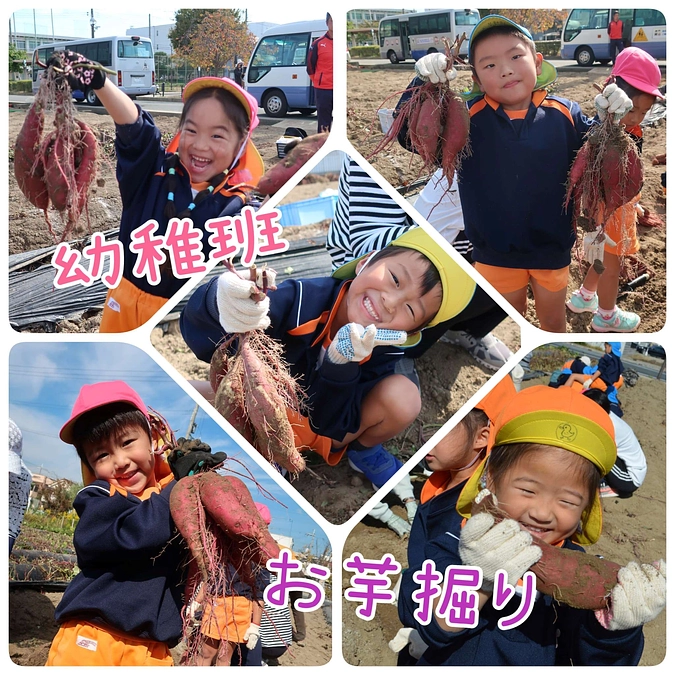 ☆幼稚班☆　お芋掘り