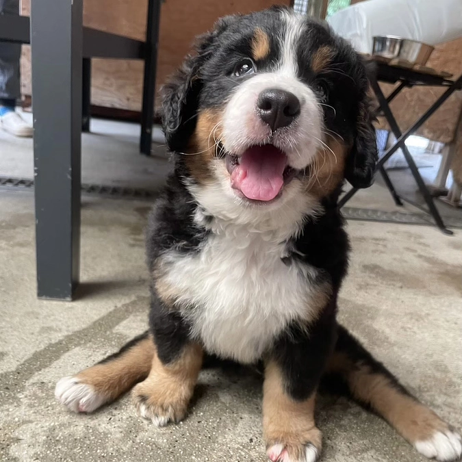 里親を検討している方へ重要なお知らせ