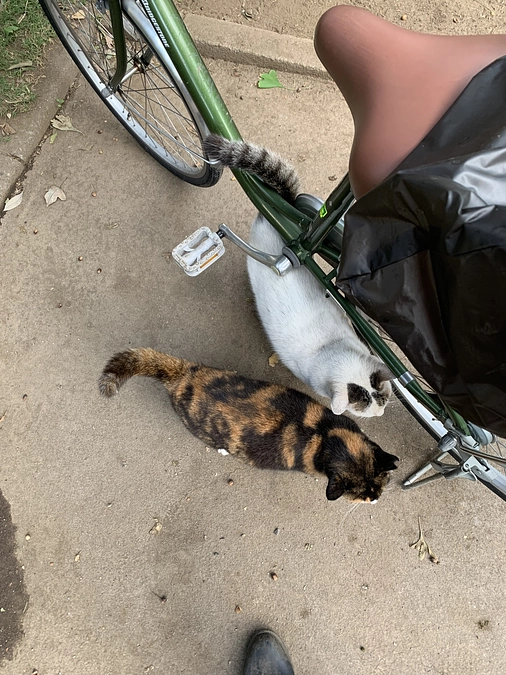 公園組の晩ごはん🍚11月7日。