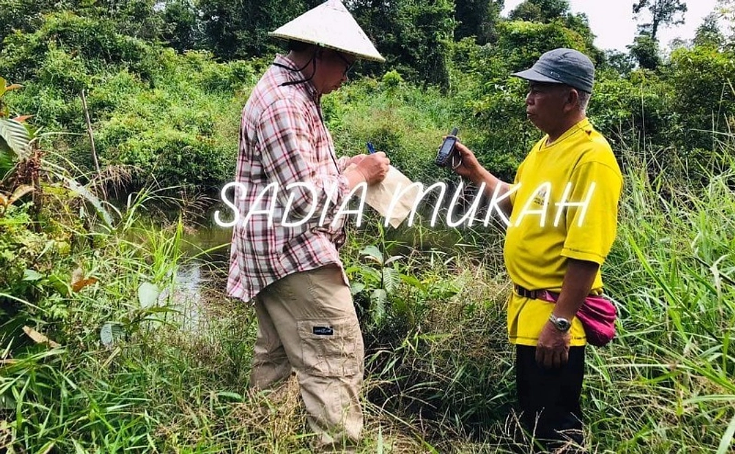 お気持ちコース