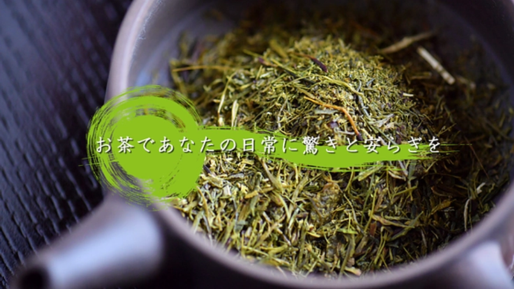 旨み・甘みの境地！白葉茶「つきしろ」が煎茶文化を変える！
