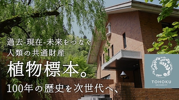 100年間受け継がれてきた植物標本を次世代へ｜東北大学植物標本庫 のトップ画像