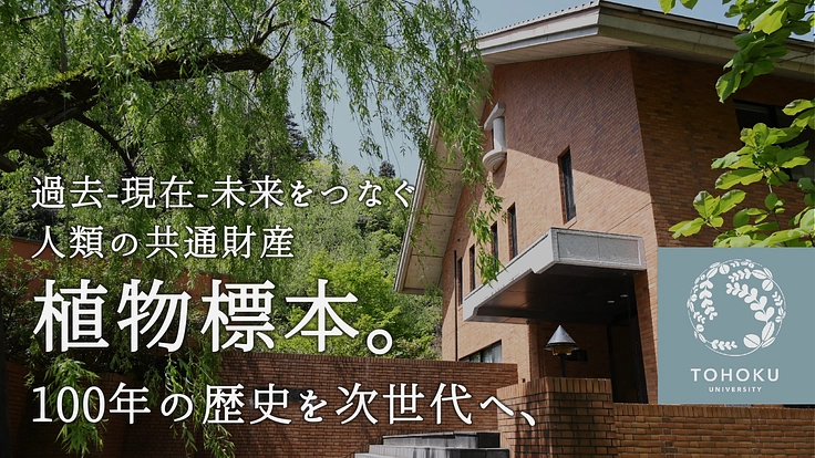 100年間受け継がれてきた植物標本を次世代へ｜東北大学植物標本庫