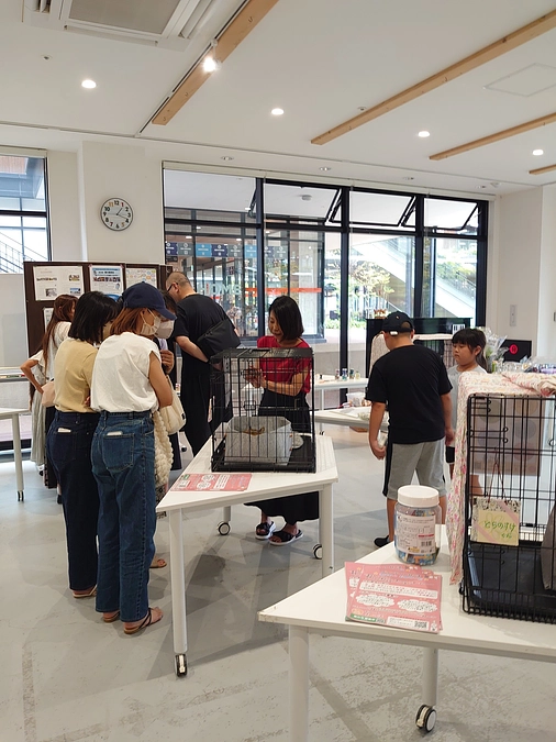 【みれいちゃん】半年後の家庭訪問・明日の【星空ねこお見合い会】