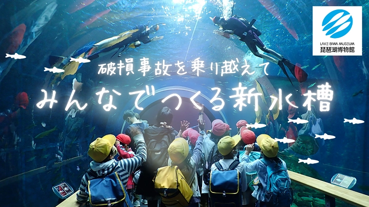 水族展示復活へ！トンネル水槽再生にご支援を｜琵琶湖博物館【第1弾】