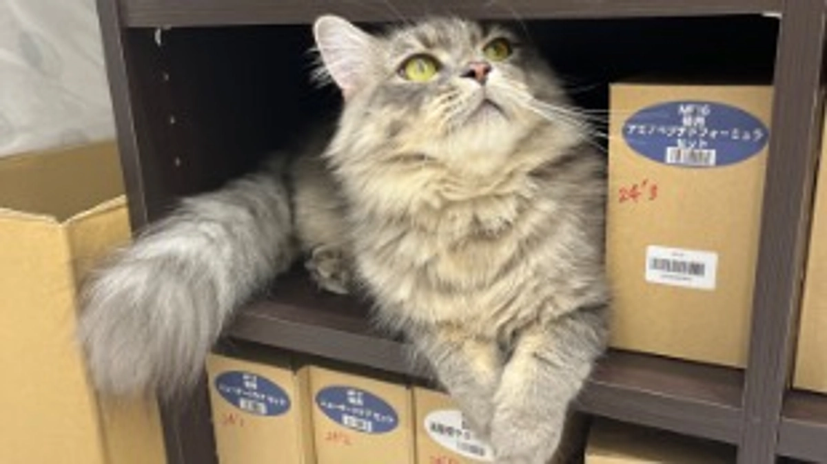 投薬69日目　いっぱい遊びました