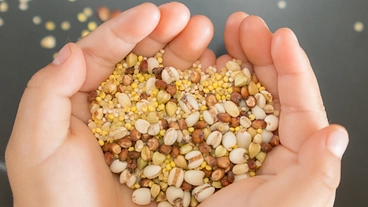 雑穀本来のおいしさを手軽に味わえる商品を開発したい のトップ画像