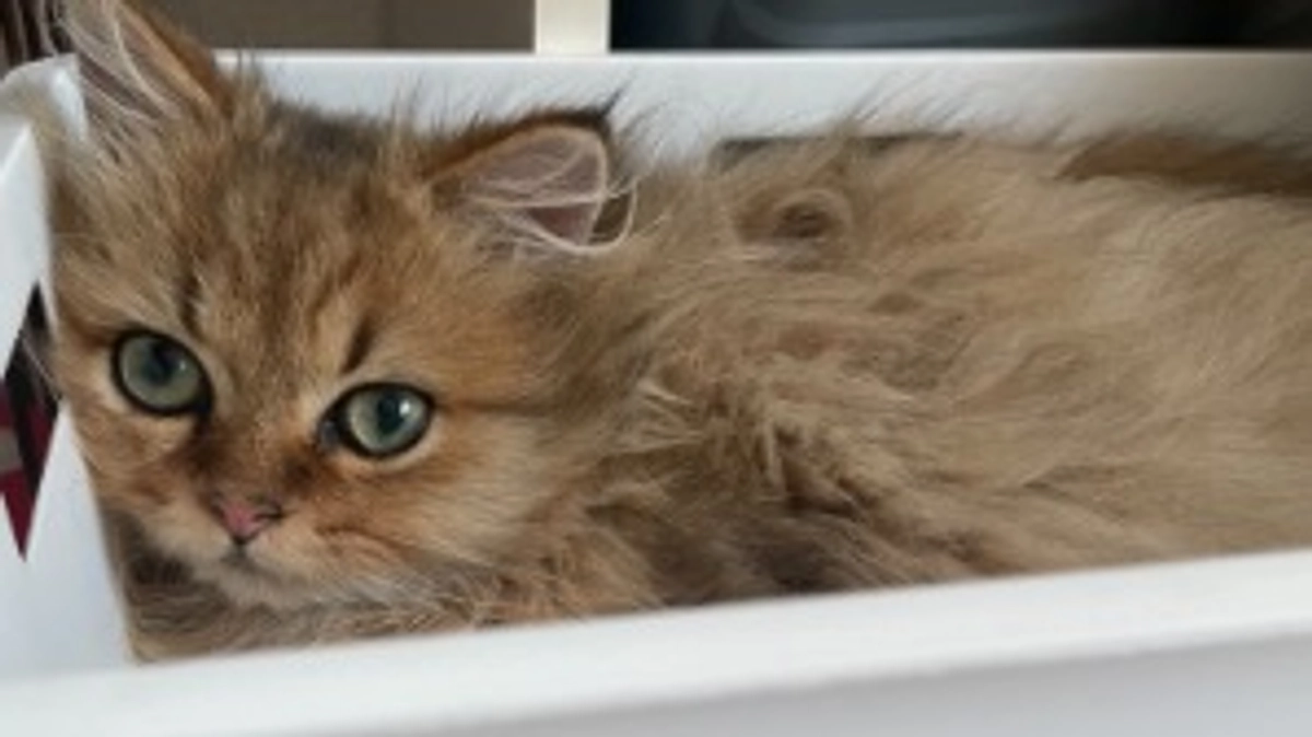 11月に入りました