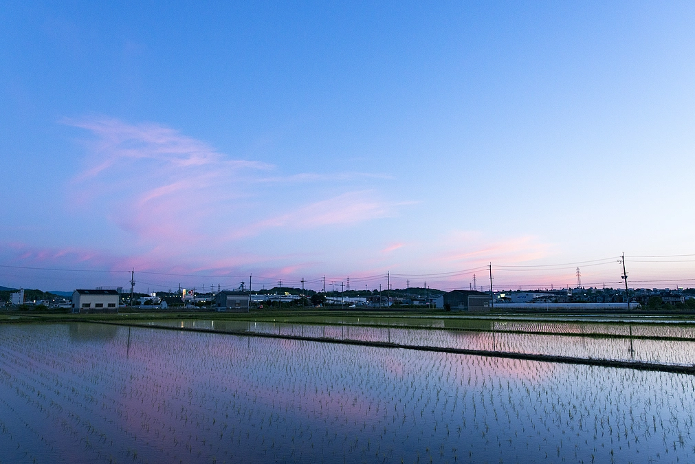 希望する人が確実にいる