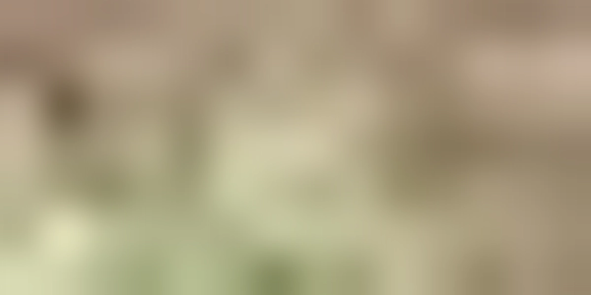 久々に朝の公園に行って来ました。11月2日