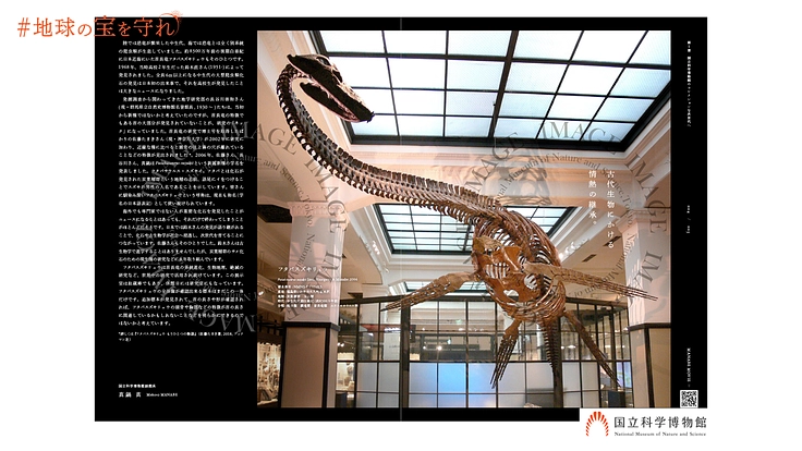 地球の宝を守れ｜国立科学博物館500万点のコレクションを次世代へ 2枚目