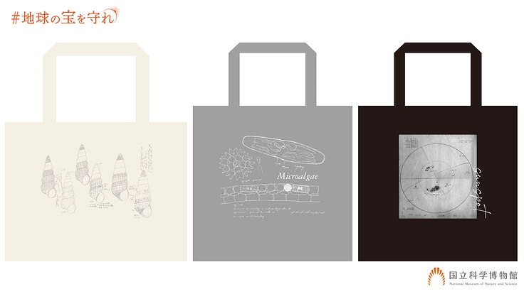 地球の宝を守れ｜国立科学博物館500万点のコレクションを次世代へ 4枚目