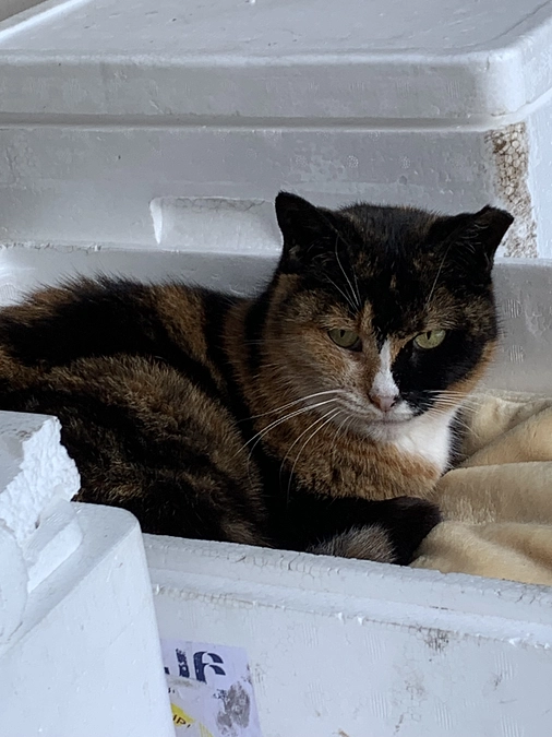 公園組の晩ごはん🍚11月3日。