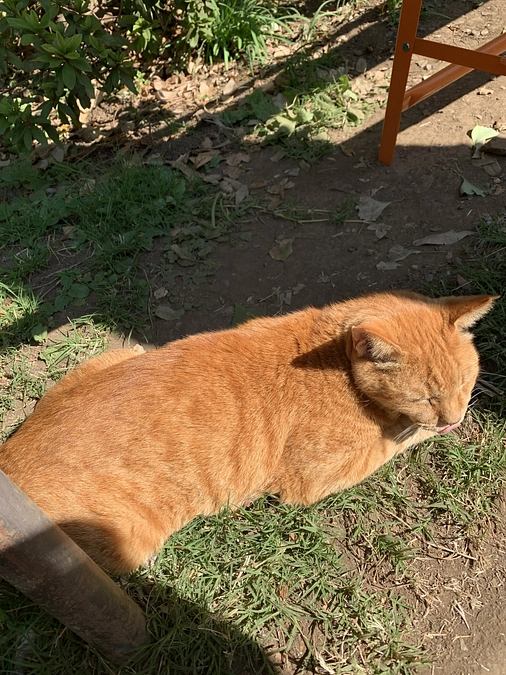 公園での素敵な出来事。11月4日。