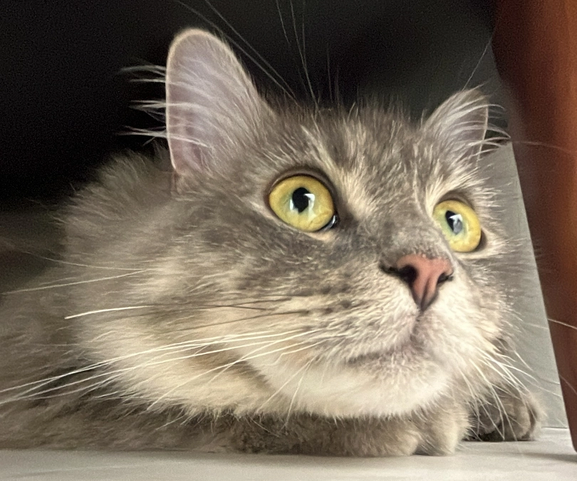 投薬62日目　お昼寝してたの