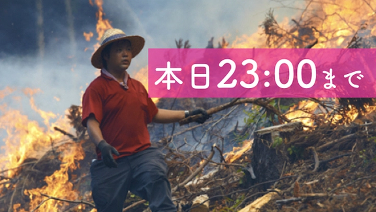 400年伝わる在来のかぶ。無添加アレルギーフリーのスープに変身!