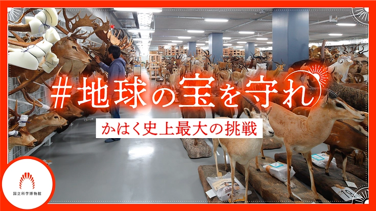 地球の宝を守れ｜国立科学博物館500万点のコレクションを次世代へ