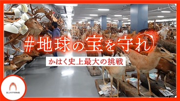 地球の宝を守れ｜国立科学博物館500万点のコレクションを次世代へ のトップ画像