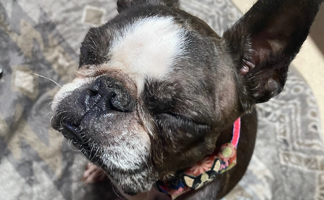 リターン不要の方1000