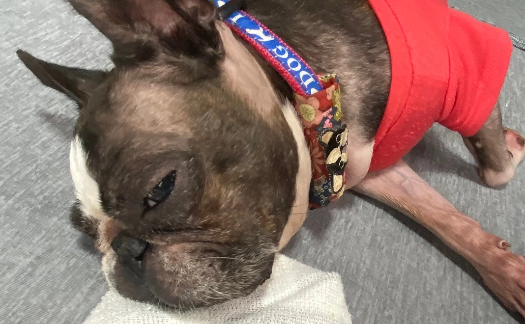 リターン不要の方3000