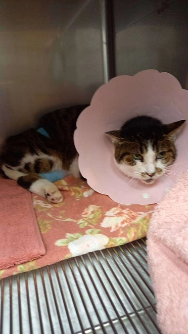 ぶちの状況報告