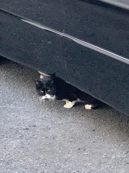 沢山のご協力、感謝します。