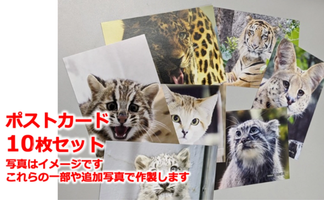 ポストカードセットコース