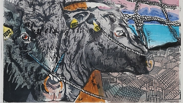 「はんが甲子園」高校生の木版画作成に、どうか ご支援をお願いします のトップ画像