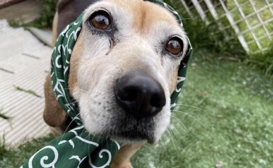 お気持ちコース