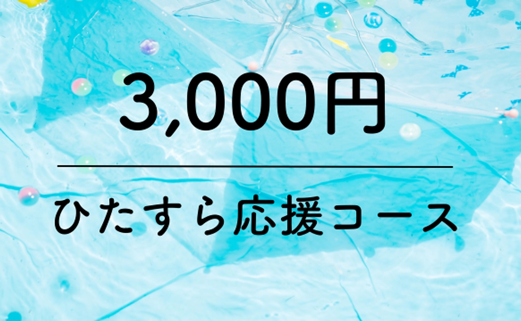 3,000円｜ひたすら応援コース