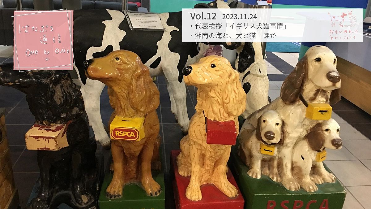 「はなぷろ通信 one by one」Vol.12