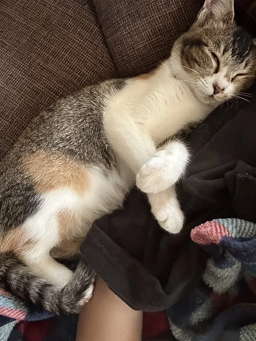 むぎちゃんのその後の様子です！