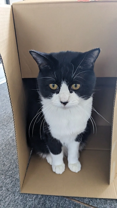 ハチ君その後！