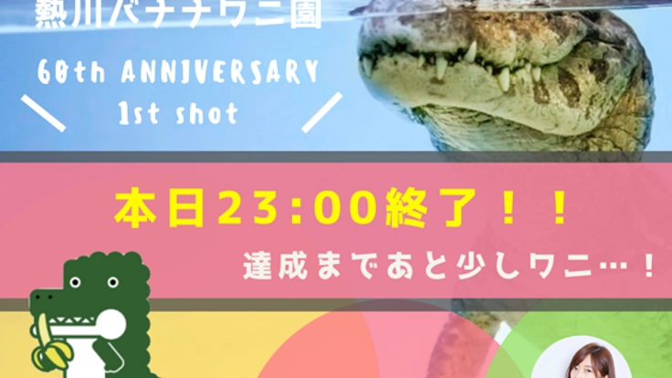 ワニの魅力を伝える、ワニのうた&着ぐるみ制作プロジェクト!
