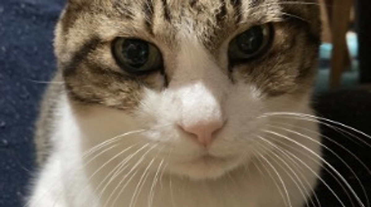 残念ながら不成立となってしまいました